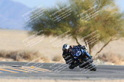 media/Jan-14-2024-SoCal Trackdays (Sun) [[2e55ec21a6]]/Turn 4 Tree of Life (155pm)/